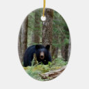 Search for animal oval christmas tree decorations Nature