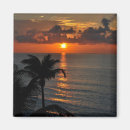 Search for cancun magnets Tropical