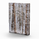 Search for winter storm Trees