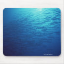 Search for in progress mousepads Nature