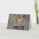 Search for chicken thank you cards Cute