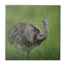 Search for wildlife tiles Bird