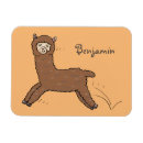 Search for alpaca magnets Animal