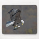 Search for national pride mousepads Independence