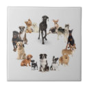 Search for dog breeds tiles Pet