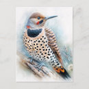 Search for flickering postcards Bird