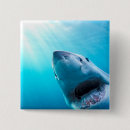 Search for jaw badges Fish