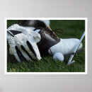 Search for sport shoes posters Ball