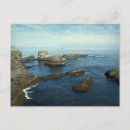 Search for seabirds postcards Iceland