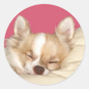 Search for dog napping stickers Animal
