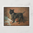 Search for pet pug postcards Vintage