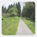 Search for forest path stickers Green