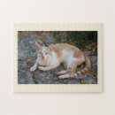 Search for lucky puzzles Cat