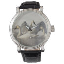 Search for trumpeters watches Bird