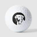 Search for labrador golf equipment Retriever
