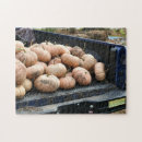 Search for harvest puzzles Pumpkin