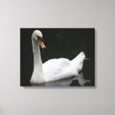 Search for adorable canvas prints Beautiful