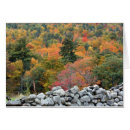 Search for autumn photography Trees