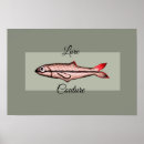Search for lures posters Fisherman