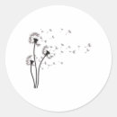Search for dandelion Seeds