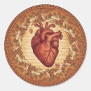 Search for anatomical stickers Vintage