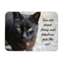 Search for cat lover magnets Animal
