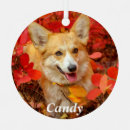 Search for leaf christmas tree decorations Animal