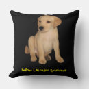 Search for yellow labrador cushions Pets
