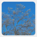 Search for tree leaves stickers Autumn