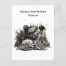 Search for german shorthaired pointers postcards Gsp