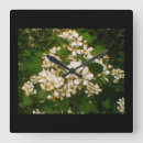 Search for blackberry art Purple