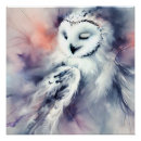 Search for snowy owl posters Watercolor