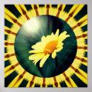 Search for yellow daisies posters Floral