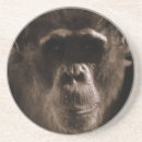 Search for chimp coasters Monkey