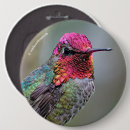 Search for plum badges Pink