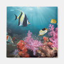 Search for reef magnets Coral