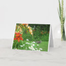 Search for lawn cards Colourful