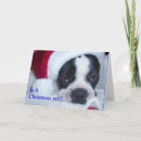 Search for boston terrier christmas cards Dog