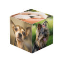 Search for pet photo cubes Funny