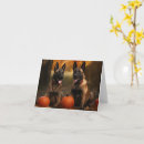Search for belgian malinois cards Puppy