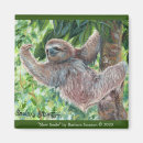 Search for slow magnets Sloth