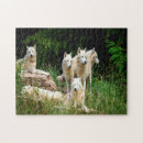 Search for wildlife puzzles Forest