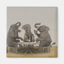 Search for topics magnets Animal