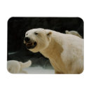 Search for global cards Nature