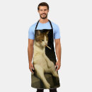 Search for smoke aprons Trendy