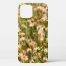 Search for dandelion background iphone cases Beauty