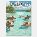 Search for swimming pig Souvenir