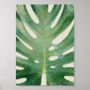 Search for monstera leaf posters Leaves