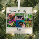Search for caterpillar christmas tree decorations Butterflies