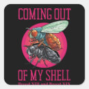 Search for bugs shell Cicada